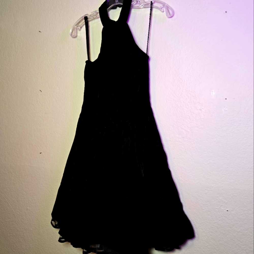 Vintage Velvet Mini Dress